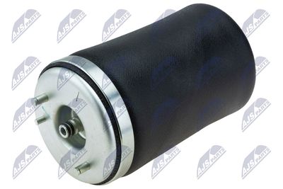 Pneimoatspere, Balstiekārta NTY EZC-BM-311