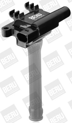 Aizdedzes spole BorgWarner (BERU) ZS502