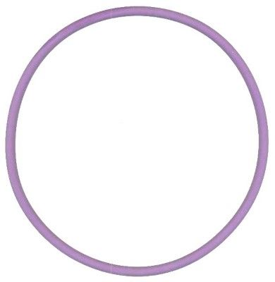 Уплотнительное кольцо ELRING 813.583