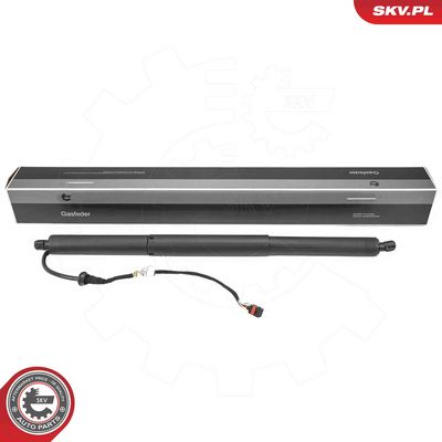 Электромотор, задняя дверь ESEN SKV 52SKV223