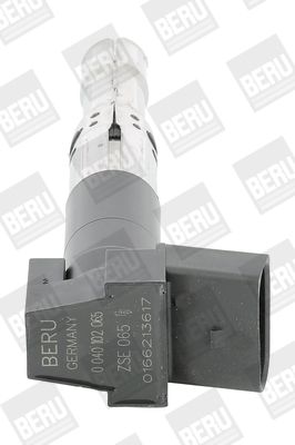 Катушка зажигания BorgWarner (BERU) ZSE065