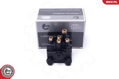 Vārsts, Pneimatiskā sistēma ESEN SKV 93SKV815