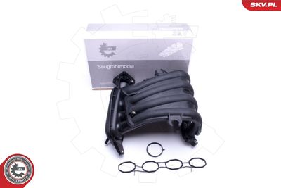 Модуль впускной трубы ESEN SKV 49SKV023
