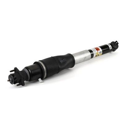 Amortizators Arnott MR-3447