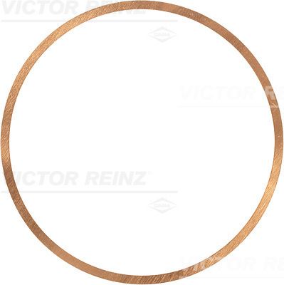 Blīve, Motora bloka galva VICTOR REINZ 41-70564-10