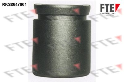 Поршень, корпус скобы тормоза FTE 9313426