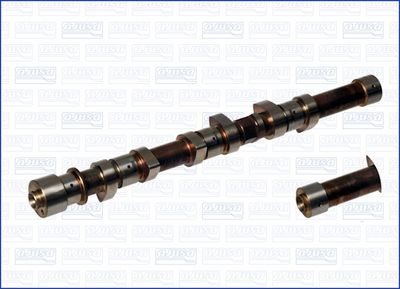 Sadales vārpsta AJUSA 93045700
