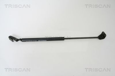 Gāzes atspere, Bagāžas/Kravas nodalījuma vāks TRISCAN 871043222