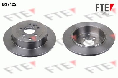 Тормозной диск FTE 9072567