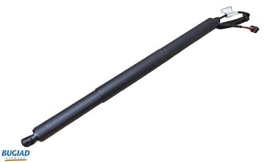 Gāzes atspere, Bagāžas/Kravas nodalījuma vāks BUGIAD BRD50724