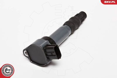 Aizdedzes spole ESEN SKV 03SKV199