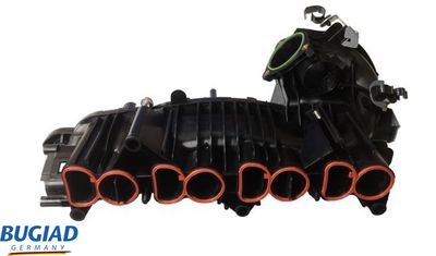 Модуль впускной трубы BUGIAD BIM17041