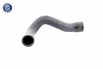 Шланг радиатора VAICO V20-0152