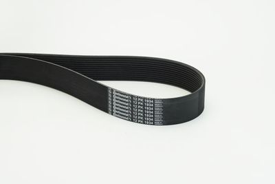 Ķīļrievu siksna CONTINENTAL CTAM 12PK1934