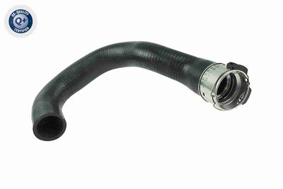 Pūtes sistēmas gaisa caurule VAICO V40-1514