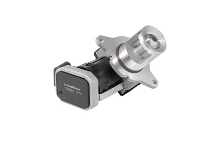 Клапан возврата ОГ BorgWarner 7389D/1