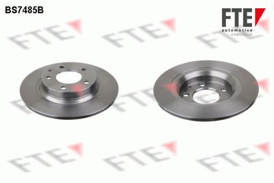 Bremžu diski FTE 9082202