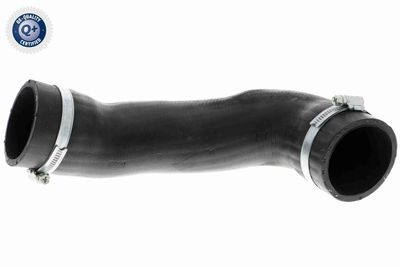 Pūtes sistēmas gaisa caurule VAICO V103805