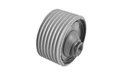 Подвеска, двигатель TEDGUM 00394894