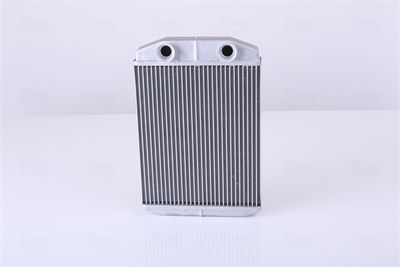 Siltummainis, Salona apsilde NISSENS 71458