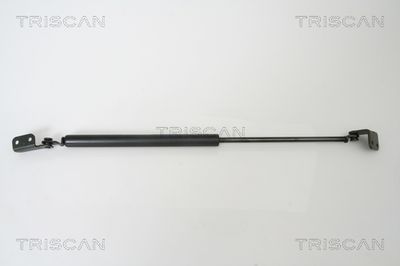 Gāzes atspere, Bagāžas/Kravas nodalījuma vāks TRISCAN 871043221