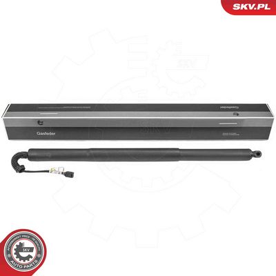 Электромотор, задняя дверь ESEN SKV 52SKV222