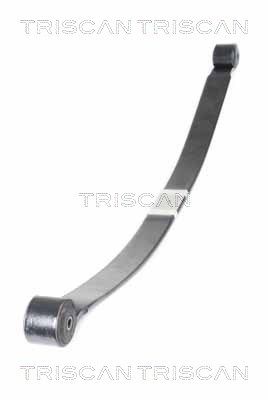 Многолистовая рессора TRISCAN 8765 16055