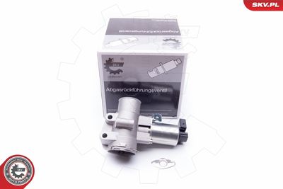 Клапан возврата ОГ ESEN SKV 14SKV186