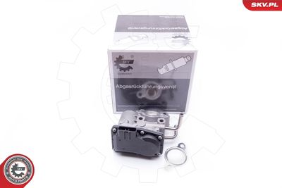 Клапан возврата ОГ ESEN SKV 14SKV189