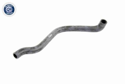 Radiatora cauruļvads VAICO V10-3200