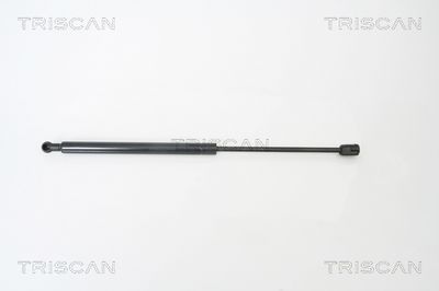 Gāzes atspere, Bagāžas/Kravas nodalījuma vāks TRISCAN 8710 29268
