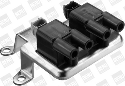 Aizdedzes spole BorgWarner (BERU) ZS516