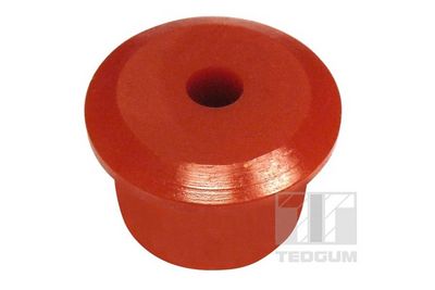 Piekare, Lokšņu atspere TEDGUM 00237201