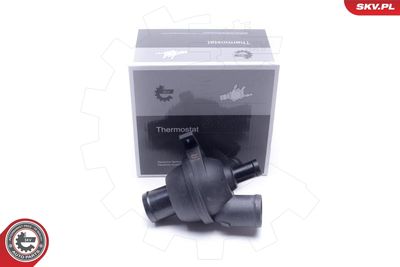 Термостат, охлаждающая жидкость ESEN SKV 20SKV198