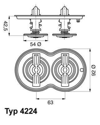 Termostats, Dzesēšanas šķidrums BorgWarner (Wahler) 4224.80D