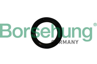 Уплотняющее кольцо, коленчатый вал BORSEHUNG B12179