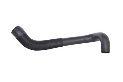 Pūtes sistēmas gaisa caurule BUGIAD 88488