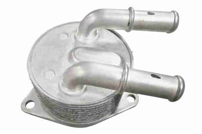 Eļļas radiators, Automātiskā pārnesumkārba VEMO V95-60-0019
