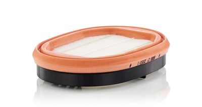 MANN-FILTER CF25501 Sekundārā gaisa filtrs