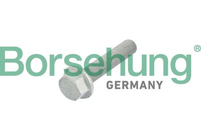 Центрирующий болт, ременный шкив - коленчатый вал BORSEHUNG B10633