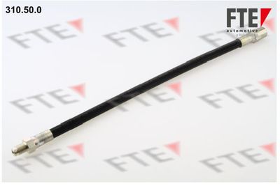 Тормозной шланг FTE 9240157