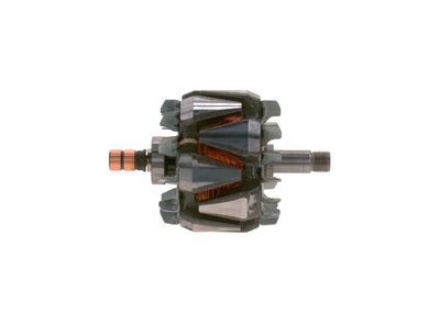 Rotors, Ģenerators BOSCH F 00M 131 742