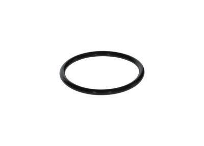 BOSCH F00N200018 Gumijas gredzens