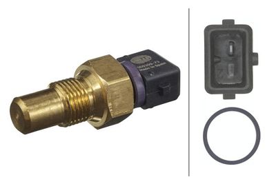 Termoslēdzis, Dzesēšanas škidruma brīdinājuma spuldze HELLA 6PT 009 309-731