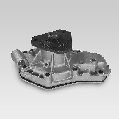 Ūdens sūknis, dzinēja dzesēšana HEPU P817