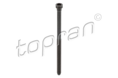 Комплект болтов головки цилидра TOPRAN 119 477