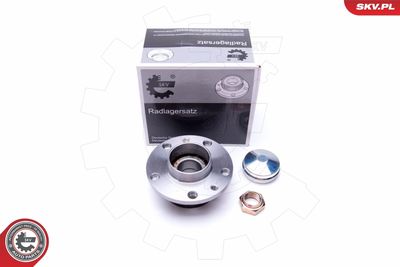 Комплект подшипника ступицы колеса ESEN SKV 29SKV300