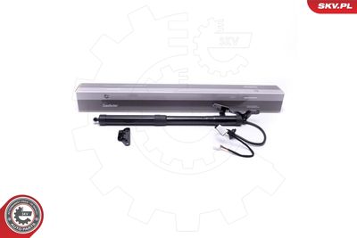 Электромотор, задняя дверь ESEN SKV 52SKV938