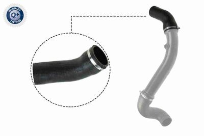 Трубка нагнетаемого воздуха VAICO V30-2717