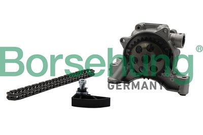 Remkomplekts, Eļļas sūknis BORSEHUNG B19175